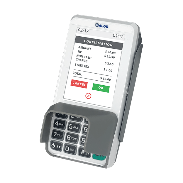 Valor VL300 Valor VL300